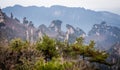 Scene of rock mountain in Zhangjiajie National Forest Park,Hunan Royalty Free Stock Photo