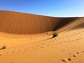Sahara Desert, Beni Abbes, Bechar, Algeria Royalty Free Stock Photo