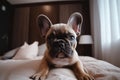 A cute French Bulldog puppy sitting on a bed, its big eyes and adorable face, generative ai Royalty Free Stock Photo