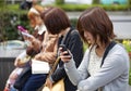 Scene at Shibuya