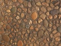 The various shapes of pebbles in the floor