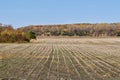 Autumn soy bean harvest complete Royalty Free Stock Photo