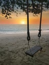 Scene of the singe rope tree swing at the seaside