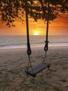 Scene of the singe rope tree swing at the seaside