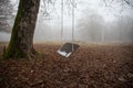 Scene of a single swing hanging from tree branch in autumn forest. Azerbaijan nature Royalty Free Stock Photo