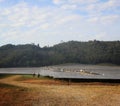 a scene of solar panel station Royalty Free Stock Photo