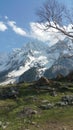 Landscape of sonmarg in kashmir Royalty Free Stock Photo
