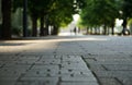 Scene of the stone pavement of the park Royalty Free Stock Photo