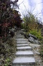 Scene with stone stairs in autumn forest. Royalty Free Stock Photo