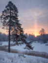 Scene of sunset or dawn in a winter forest with frosty bench on a clear frosty morning. Tree branches covered with snow and