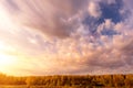 Scene of sunset on a field with grass and trees in golden autumn Royalty Free Stock Photo