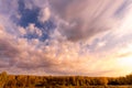 Scene of sunset on a field with grass and trees in golden autumn Royalty Free Stock Photo