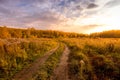 Scene of sunset on a field with grass and trees in golden autumn Royalty Free Stock Photo