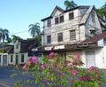 Scene from Suriname, South America