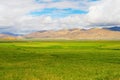 The scene of tibet Royalty Free Stock Photo