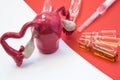 Scene of treating or vaccination of uterus, STD or genital diseases - acute and chronic. Anatomical model of uterus with ovaries i Royalty Free Stock Photo