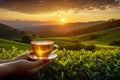 scene where a cup of tea is placed on a table, and beyond lies a breathtaking landscape view
