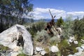 Stag Sculpture and sculpture of fisher and his dog.