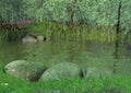 Scene of a wild meadow full of flowers, grass, rocks trees.