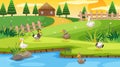 Scene with wooden cottage in the field and many ducks in the river Royalty Free Stock Photo