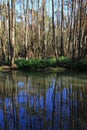 Scene at the Wrights Creek, Australia