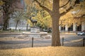 Scene of yellow autumn park in Portland downtown Royalty Free Stock Photo