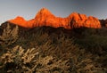 Scene at zion national park at sunset Royalty Free Stock Photo
