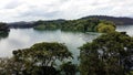 A sceneic veiw of green water lake and forest