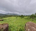 A sceneic veiw of meadow filled with grass, rocks and trees