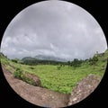 A sceneic veiw of meadow on a mountain. Spherical Photo. Ponmudi, Kerala, India