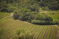 Scenery along Fort Bragg Willits Road in California Royalty Free Stock Photo