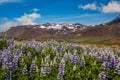 The scenery along the Iceland Route 1, the coast and the mountains,church