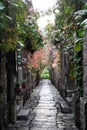 Scenery of ancient town alleys in late autumn. Royalty Free Stock Photo