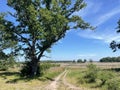 Scenery around Havelterberg in Drenthe Royalty Free Stock Photo