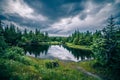 Scenery around mendenhall glacier park in juneau alaska Royalty Free Stock Photo