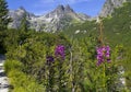 Scenery at the ascent to the alpine Cottage at the Green Lake with the surrounding peaks of the High Tatras