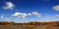 The scenery in autumn in Inner Mongolia