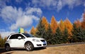 The scenery in autumn in Inner Mongolia