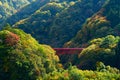 Autumnal leaves and red bridge in valley. Royalty Free Stock Photo