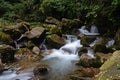 Scenery of the Back Hill of Qingcheng Mountain Royalty Free Stock Photo