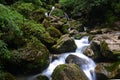 Scenery of the Back Hill of Qingcheng Mountain Royalty Free Stock Photo