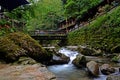 Scenery of the Back Hill of Qingcheng Mountain Royalty Free Stock Photo