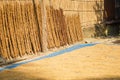 Scenery of beautiful Asian village. Paddy is drying in the sun next to the dung sticks. Golden sun mixed with golden rice
