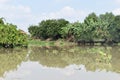 Scenery of the beautiful landscape at Saigon River in Ho Chi Minh City, Vietnam, Asia Royalty Free Stock Photo