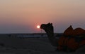 This is an scenery of beautiful sunset point or evening sun in thar desert or sam sand dunes in jaisalmer rajasthan india Royalty Free Stock Photo