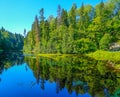 Scenery blue water and sky in a forest lake mixed forests of coniferous and broad-leaved trees Royalty Free Stock Photo