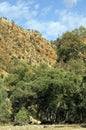 Scenery, Brachina Gorge, SA, Australia