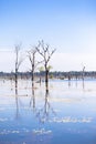 Scenery from bridge leading to Neak Pean or Neak Poan Angkor Wat Siem Reap Cambodia South East Asia