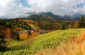 Scenery of a busdriving on a mountain highway,winding through colorful autumn forests by the mountainside in Shiga Kogen Highland