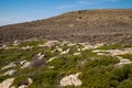 Scenery in the canyon area of Dinosaur National Monument of mountains, rocks and vegetation, at the Island Park overlook Royalty Free Stock Photo